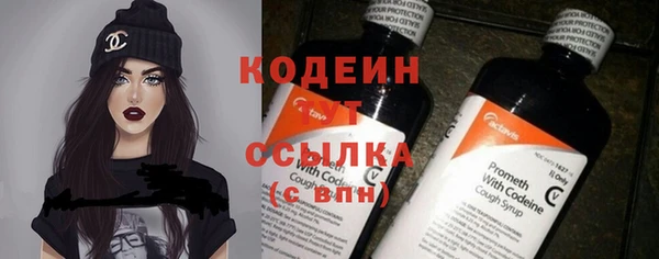 гашик Весьегонск