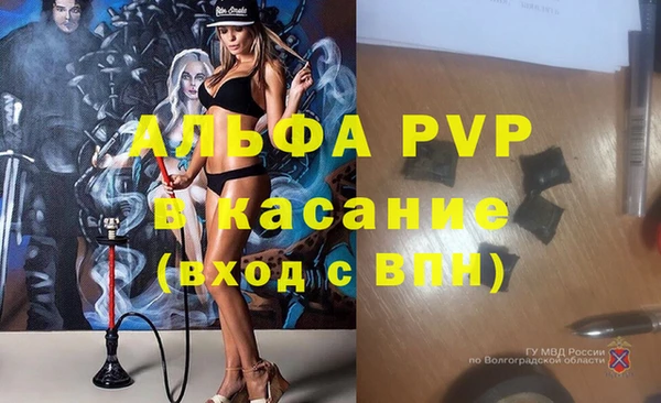 трава Аркадак