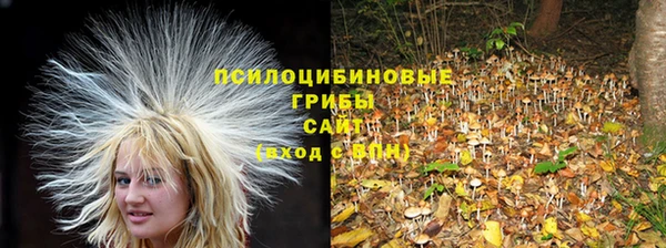 наркотики Алексеевка