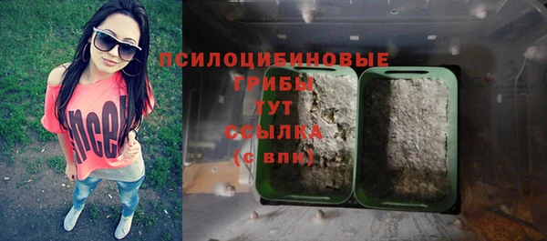 спайс Алексин