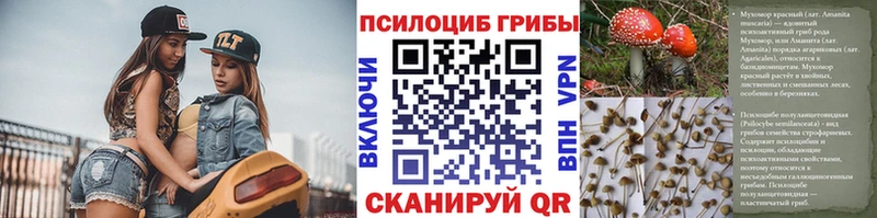 гидра вход Краснослободск Псилоцибиновые грибы мицелий