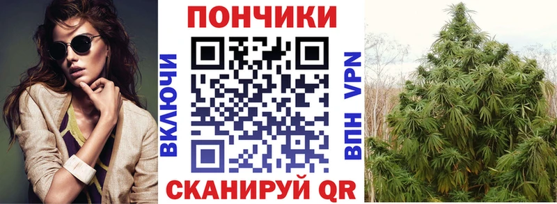 mega как войти  цена   Краснослободск  Бошки марихуана Amnesia 